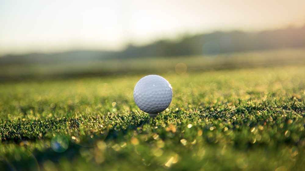 Vinte e Nove Palmeiras para patrocinar o evento PGA Tour da Califórnia